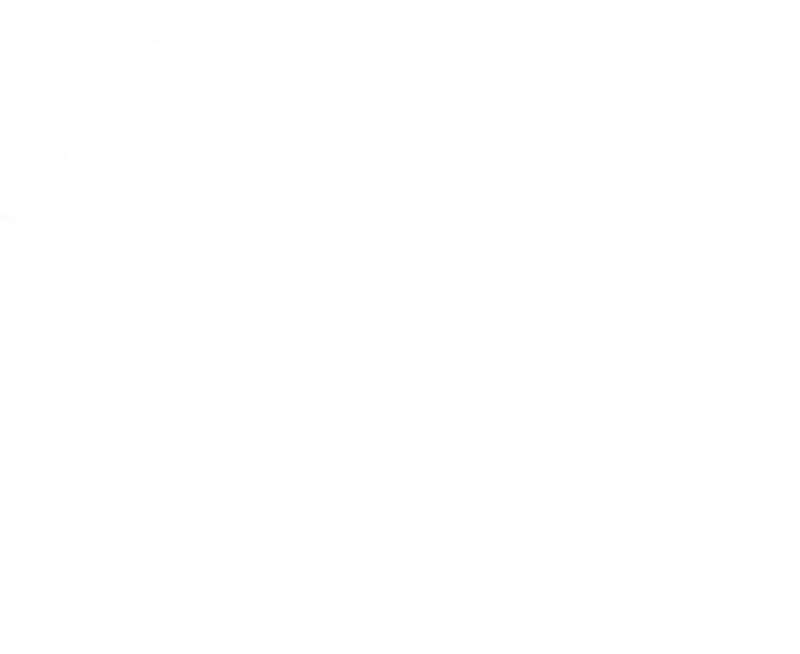 All N One Pest Eliminators